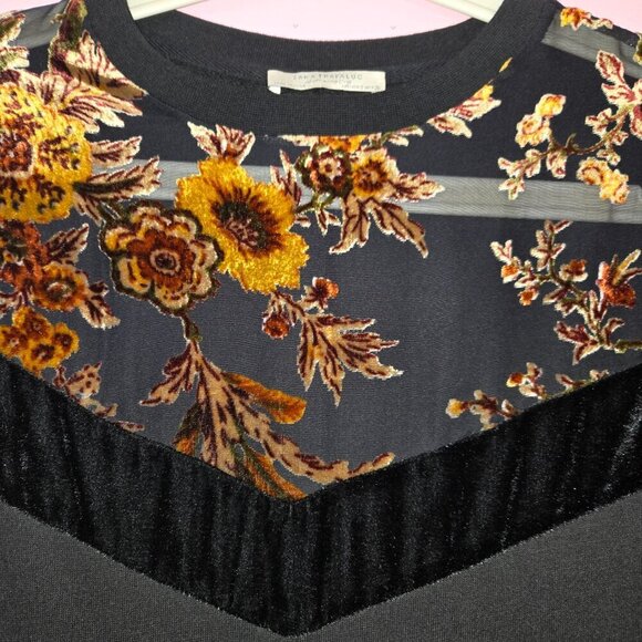 2/$20 Zara velvet floral mesh t-shirt dress, size S - Picture 4 of 13